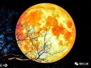蓝月亮与年度最小满月，浪漫邂逅的天文奇观